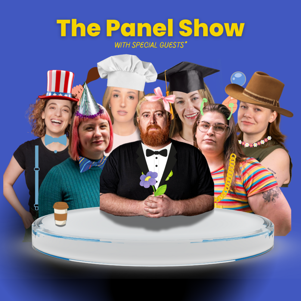 THE PANEL SHOW