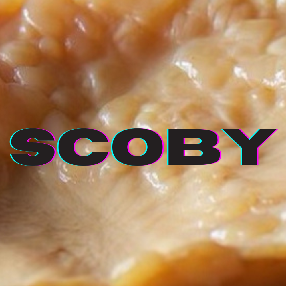 Defrost 2024: Scoby
