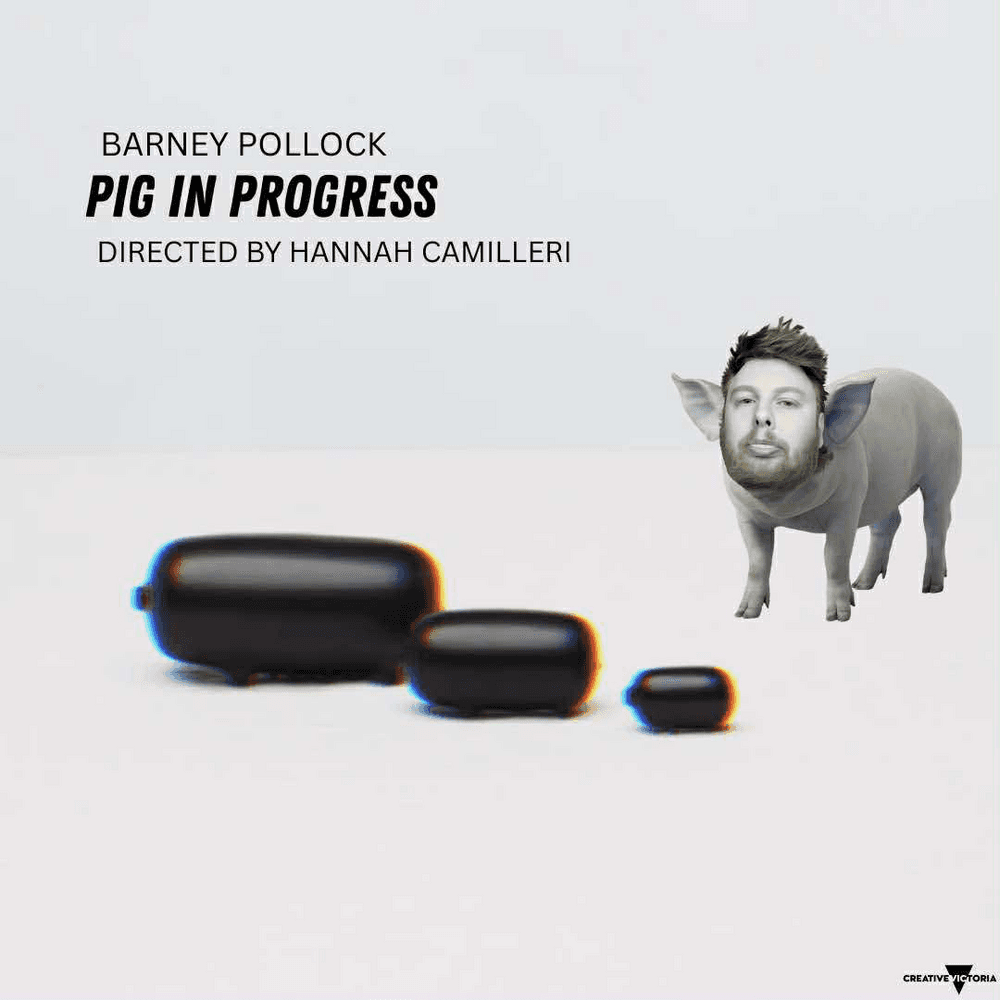 PIG IN PROGRESS (A Work in Progress Showing)